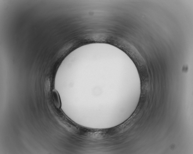 X0000097590120200803211645