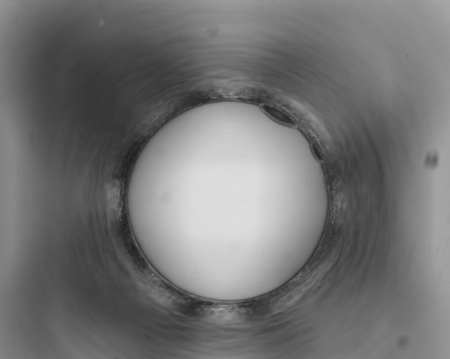 X0000097590121200803211645