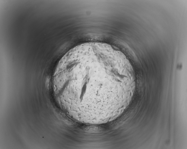 X0000097590123200803211645