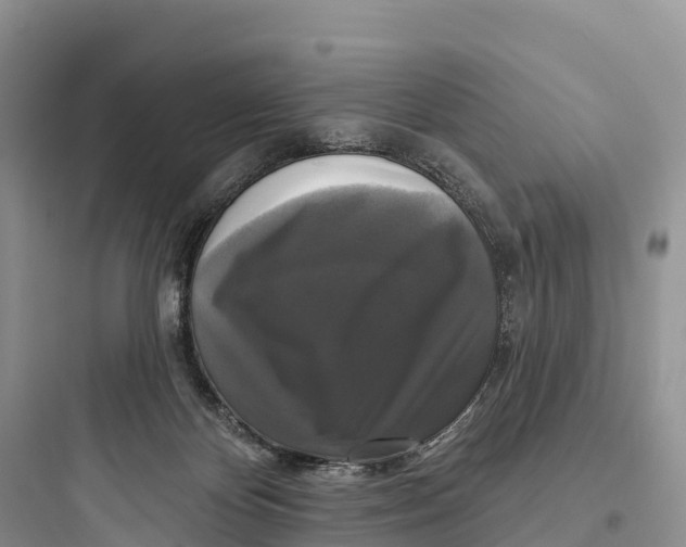 X0000097590124200803211645