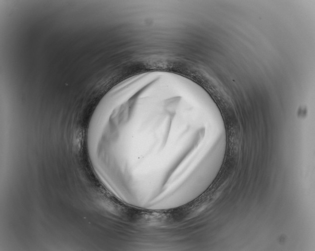 X0000097590125200803211645