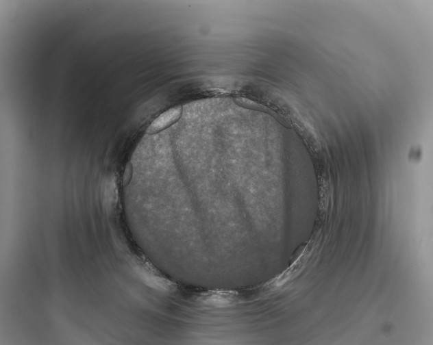 X0000097590128200803211645