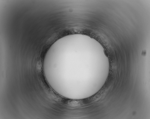 X0000097590129200803211645