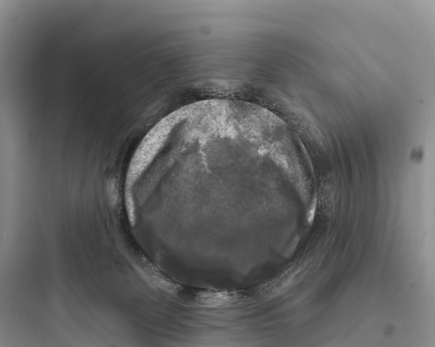 X0000097590131200803211645