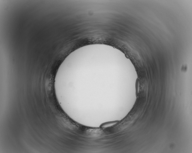 X0000097590133200803211645