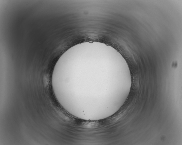 X0000097590135200803211645