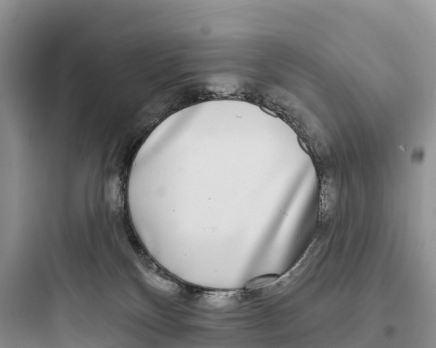 X0000097590136200803211645