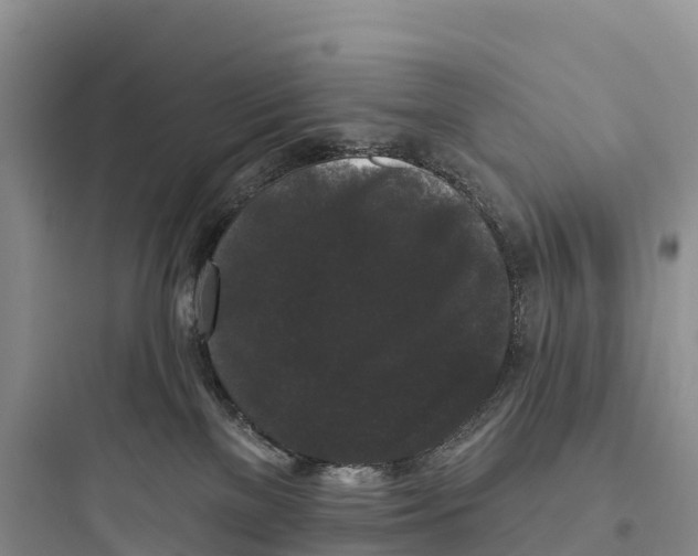 X0000097590137200803211645