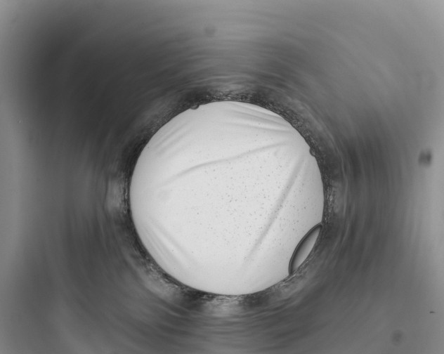 X0000097590138200803211645