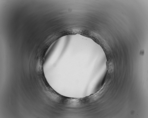 X0000097590140200803211645