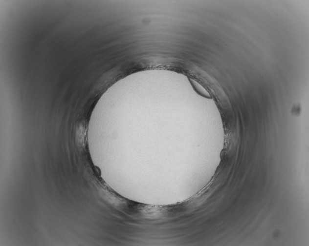 X0000097590142200803211645