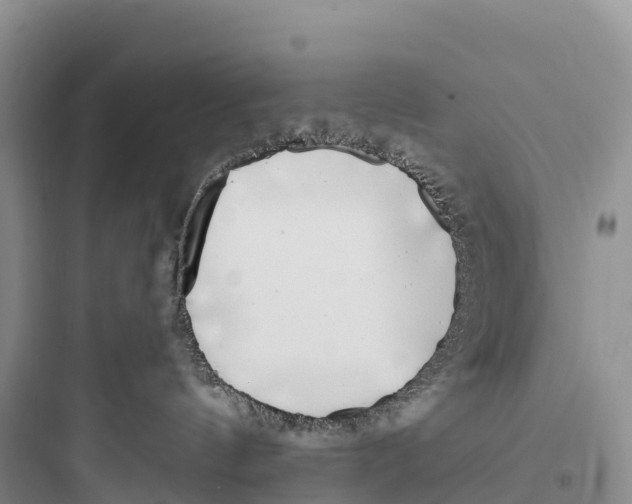 X0000097590144200803211645