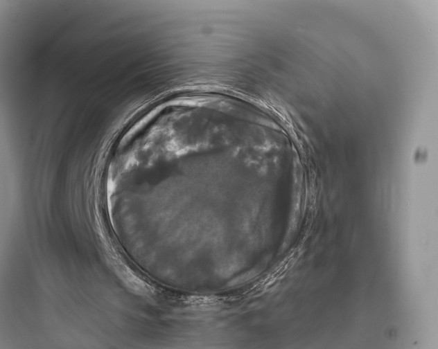 X0000097590145200803211644