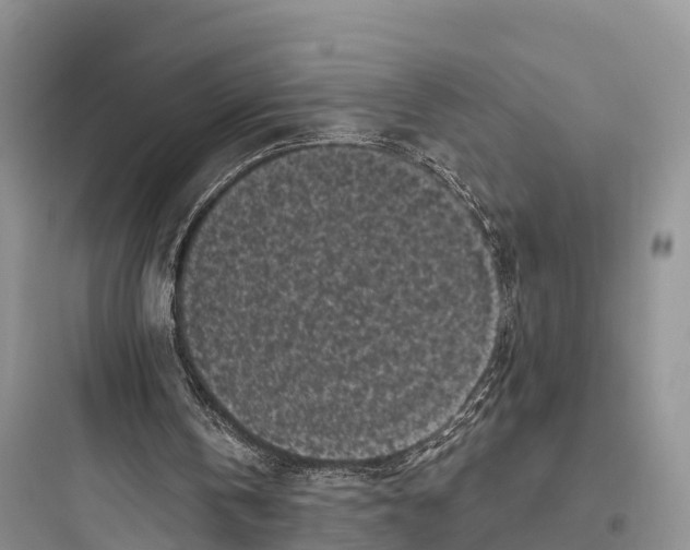 X0000097590146200803211644