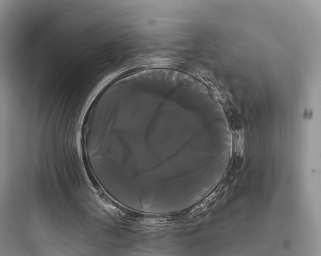 X0000097590147200803211644