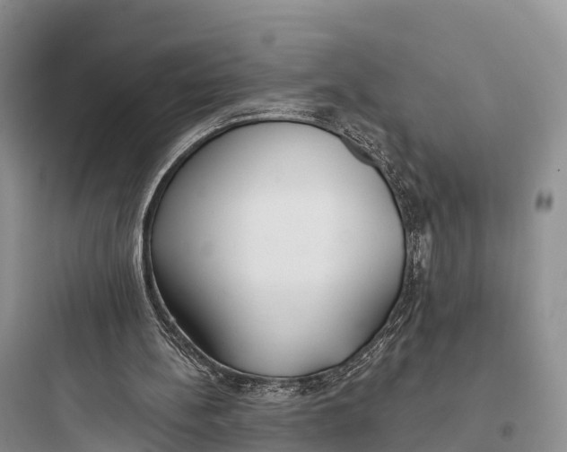 X0000097590148200803211644