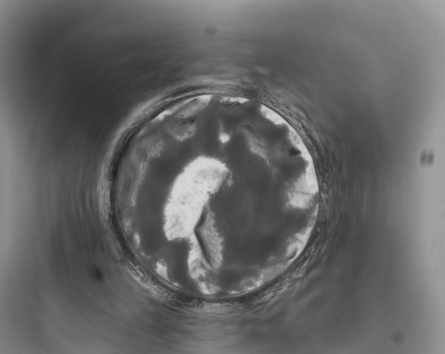 X0000097590149200803211644