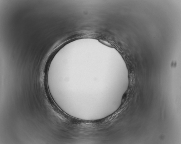 X0000097590150200803211644