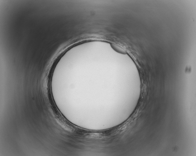 X0000097590151200803211644