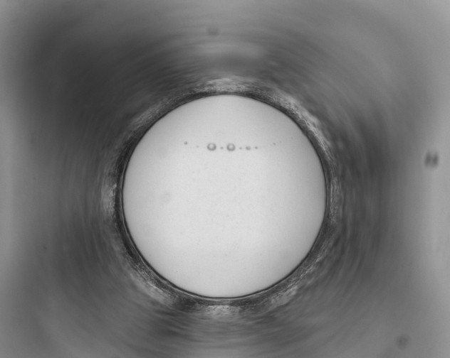 X0000097590153200803211644