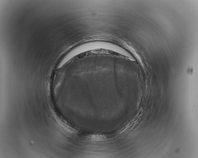 X0000097590154200803211644