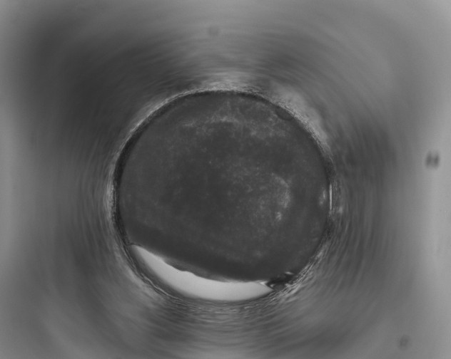 X0000097590156200803211644