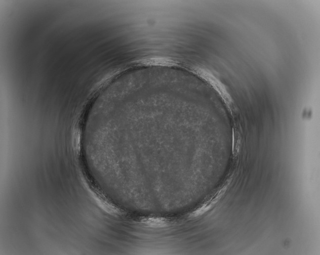 X0000097590157200803211644