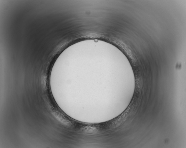 X0000097590159200803211644