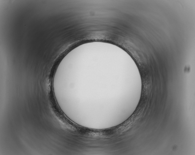 X0000097590160200803211644