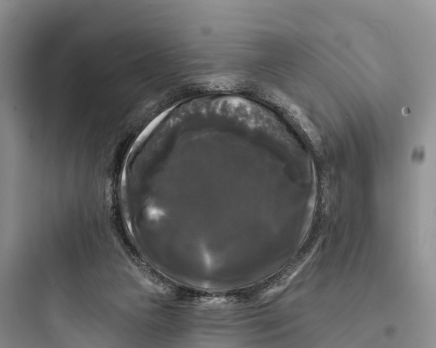 X0000097590161200803211644