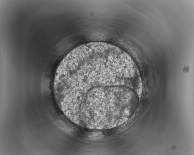 X0000097590162200803211644