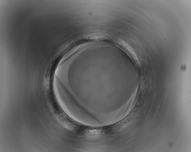 X0000097590163200803211644