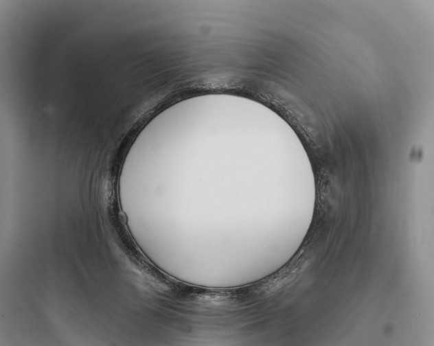 X0000097590164200803211644