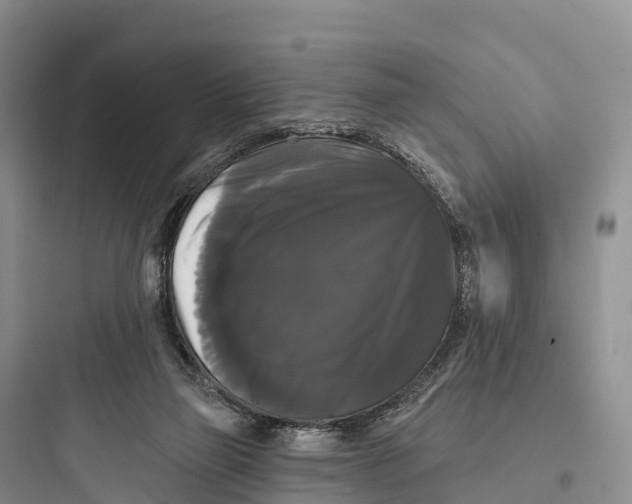 X0000097590165200803211644