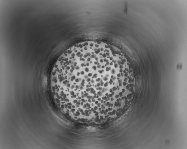 X0000097590166200803211644