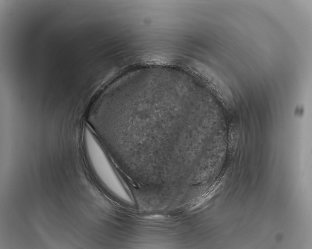 X0000097590168200803211644