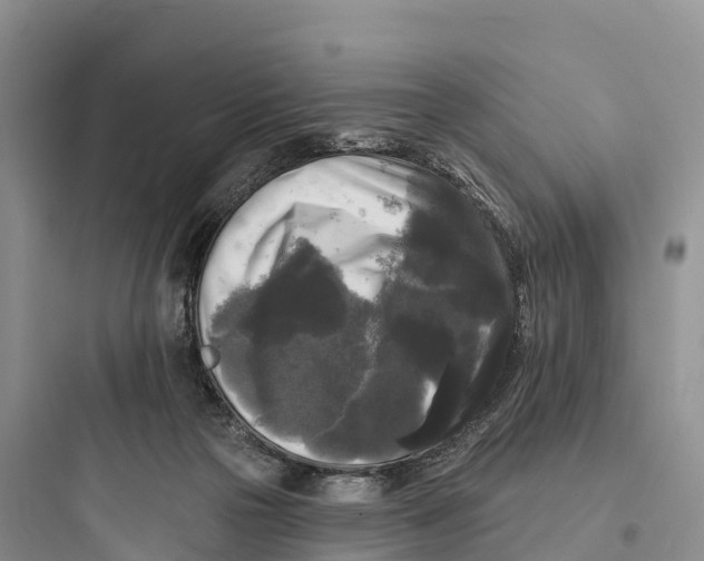 X0000097590169200803211644