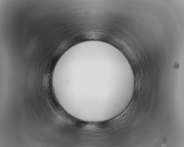 X0000097590171200803211645