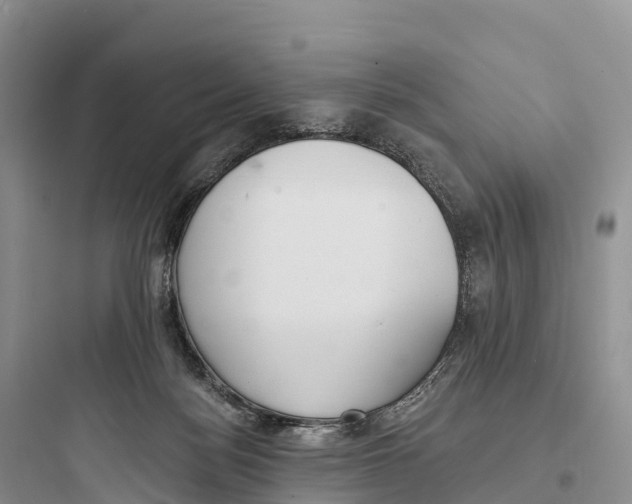 X0000097590172200803211645