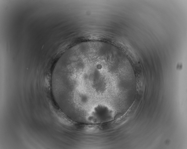 X0000097590175200803211645