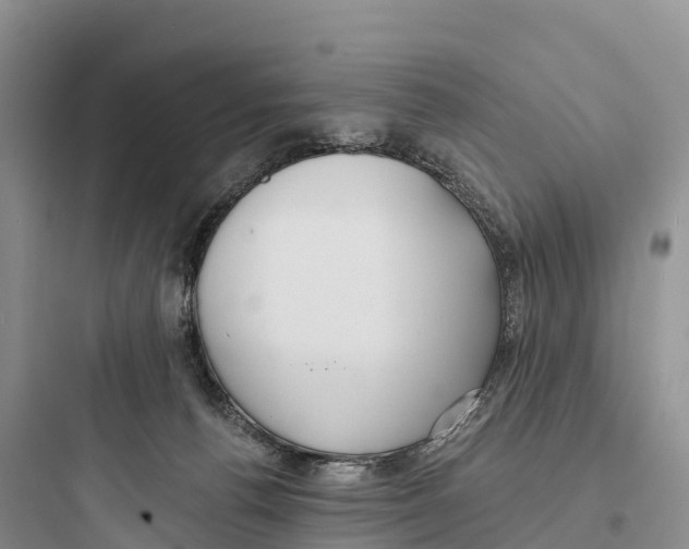 X0000097590176200803211645