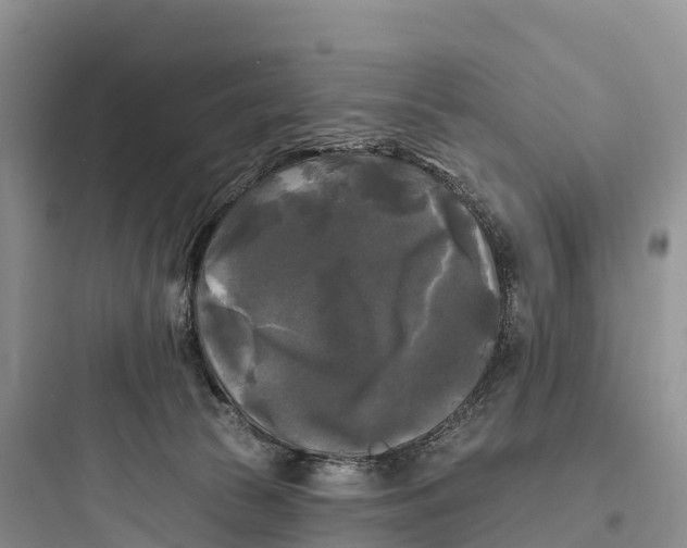 X0000097590177200803211645