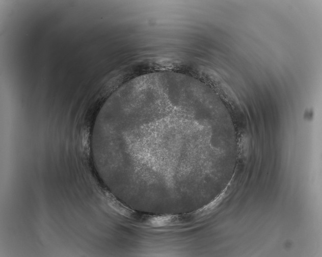 X0000097590178200803211645