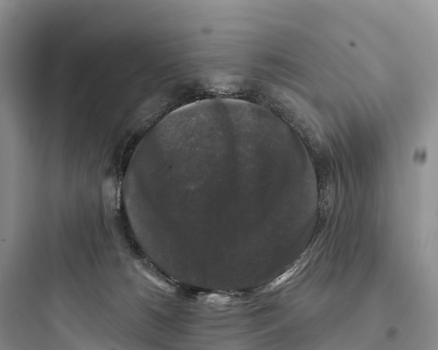 X0000097590180200803211645