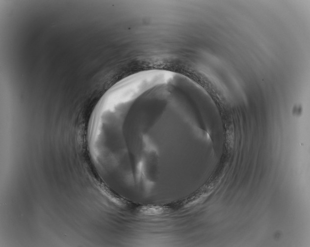 X0000097590181200803211645