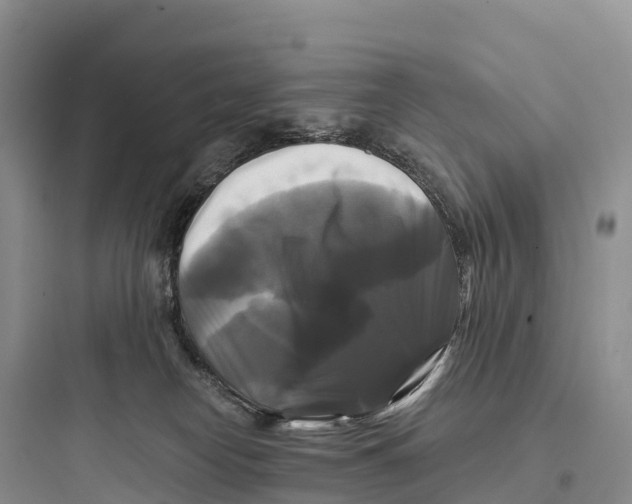 X0000097590182200803211645