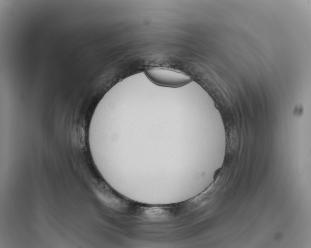 X0000097590183200803211645