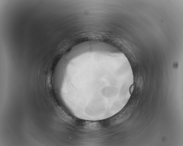 X0000097590185200803211645