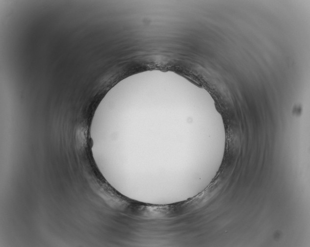 X0000097590188200803211645