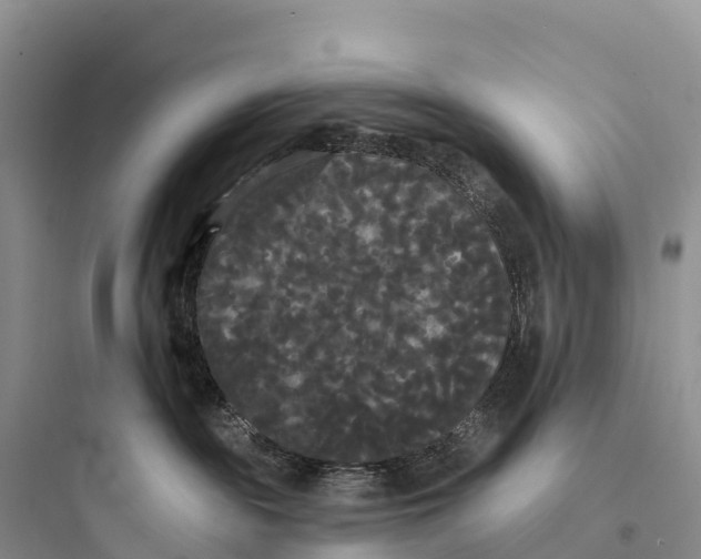 X0000097590189200803211645